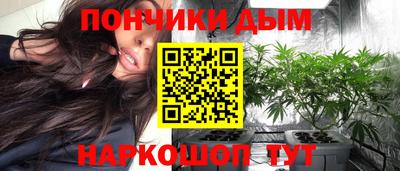мдпв Камышлов