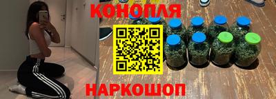 мдпв Камышлов