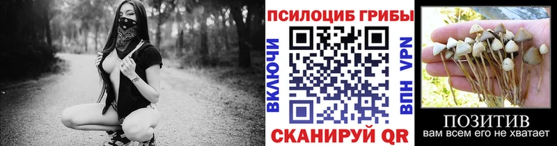 наркошоп  Волгоград  ссылка на мегу онион  Псилоцибиновые грибы мицелий 