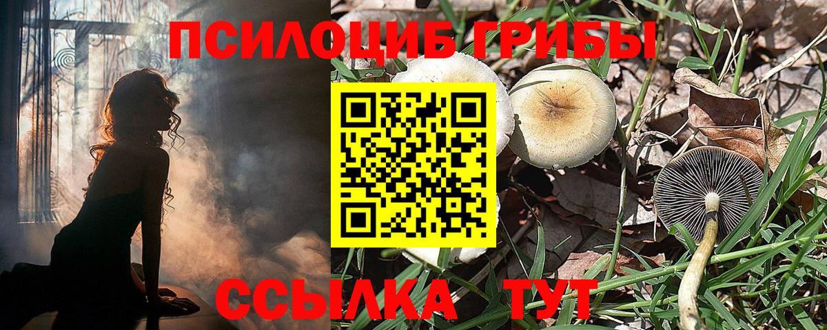 Галлюциногенные грибы мухоморы  Псилоцибиновые грибы MAGIC MUSHROOMS  Вход с VPN  Волгоград 
